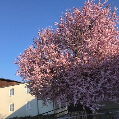 Landpension Gschwantner Lengenfeld Kültér fotó
