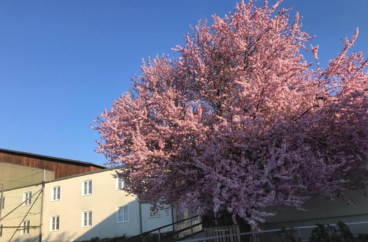 Landpension Gschwantner Lengenfeld Kültér fotó